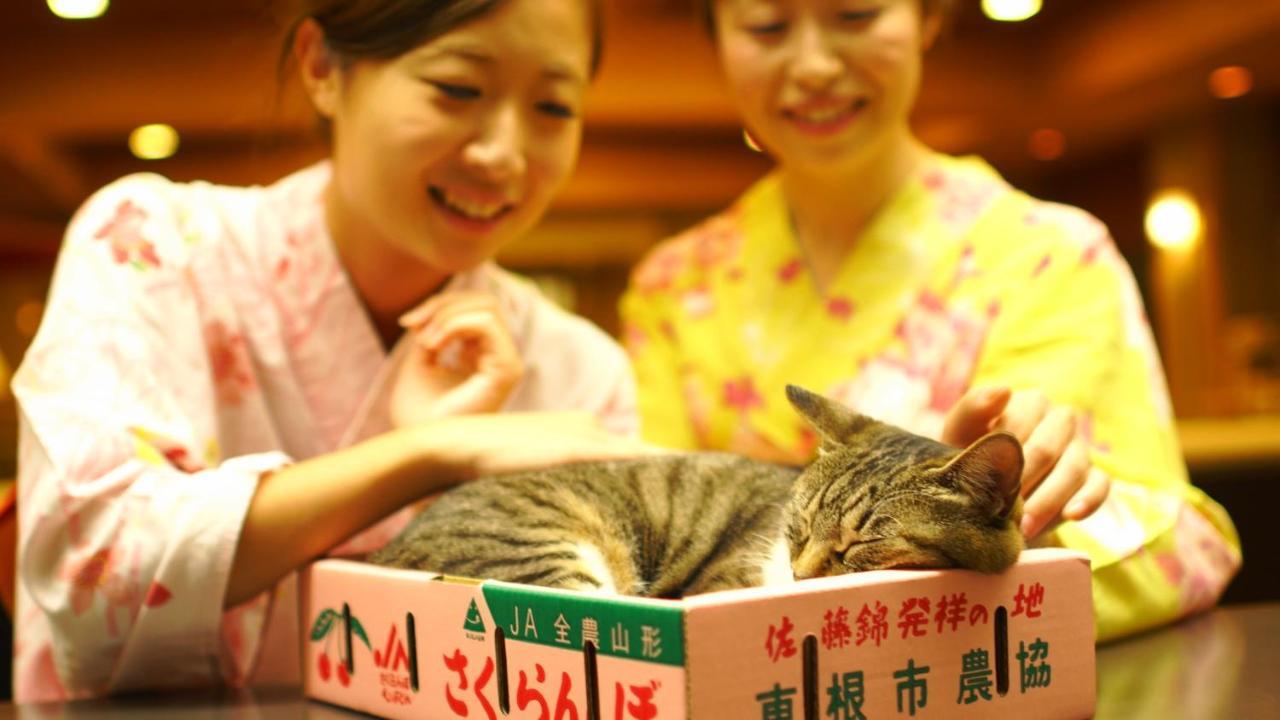 Hotel Shouhakutei Azumaso Tendo Esterno foto